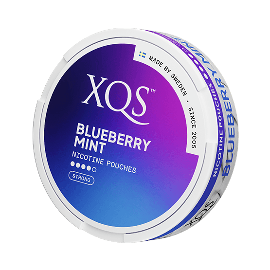 XQS BLUEBERRY MINT - Nammi.net